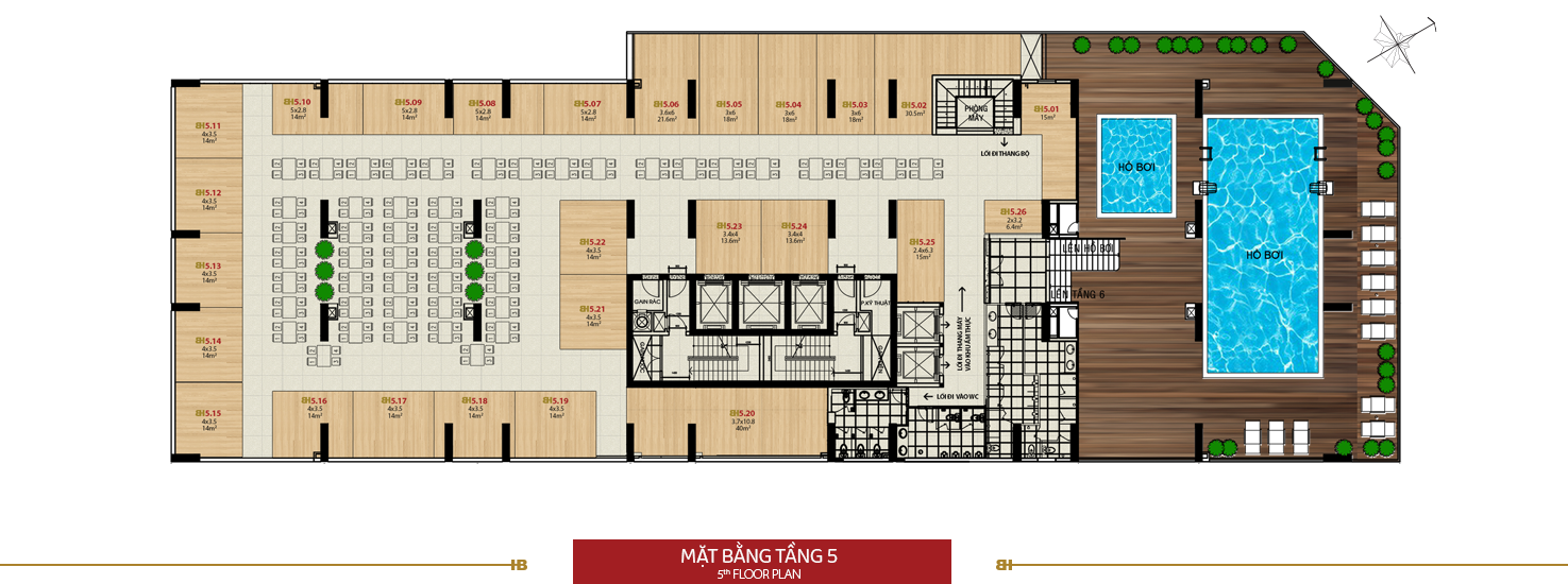 Mặt bằng - Tầng 5